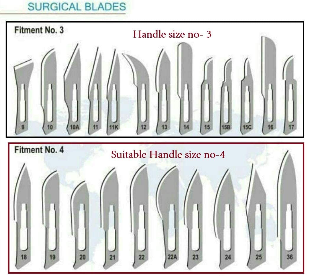 EUZA CARBON STEEL SURGICAL BLADE NO. 24 (10PCS) WITH SCALPEL HANDLE NO. 4 (1PCS) B.P. HANDLE | B0BN1GDDBM ( MI-QEQT-7VZC )