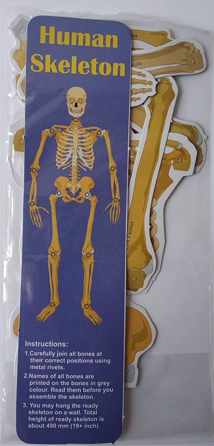 Know Your Body
